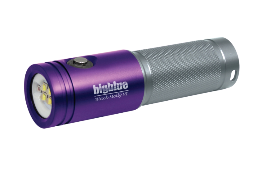 Big Blue Video Light: Black Molly: 2000-Lumen Video Light