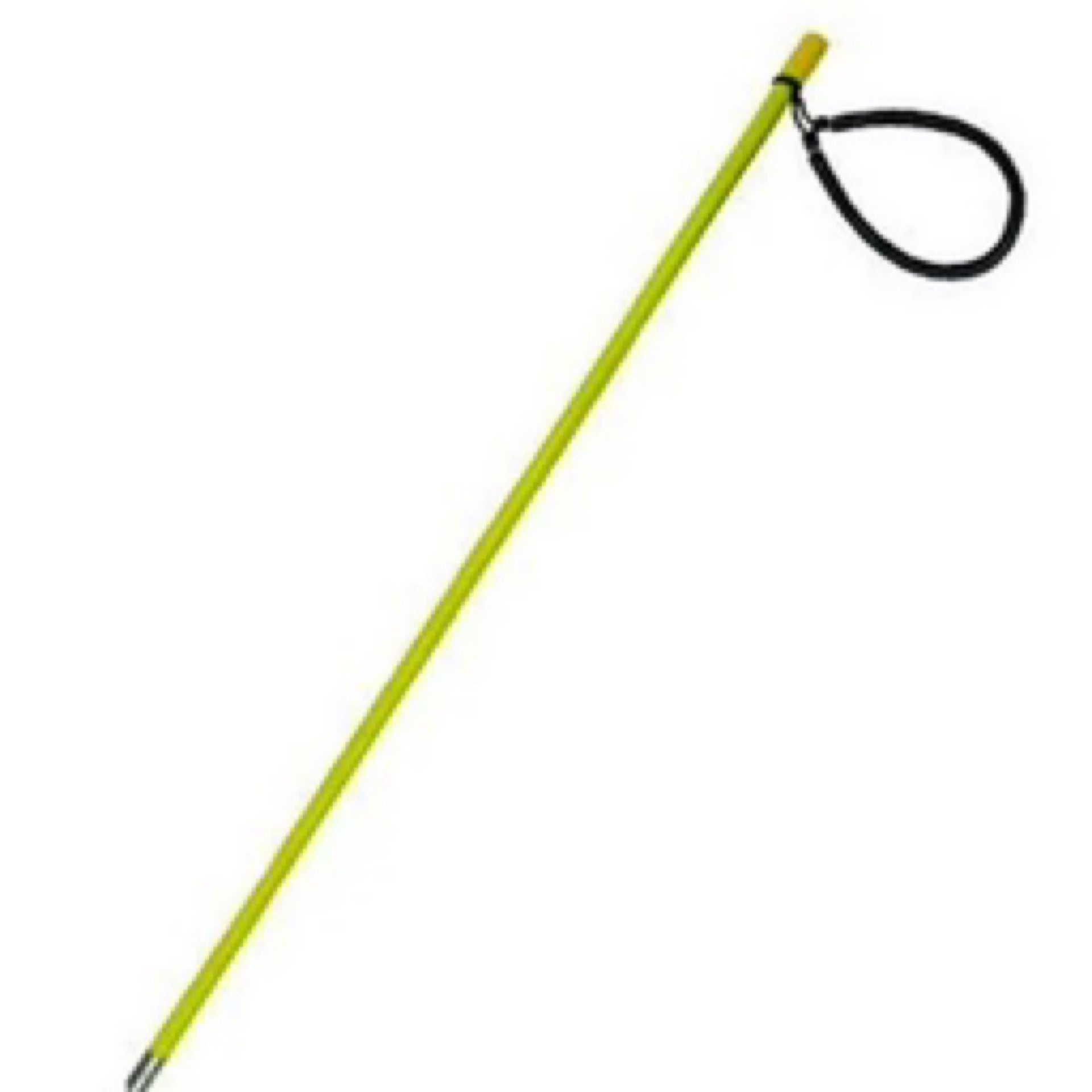 30” Pole Spear - 6mm Thread