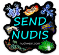 Nudi Wear Send Nudis black die-cut vinyl sticker for laptops and gear