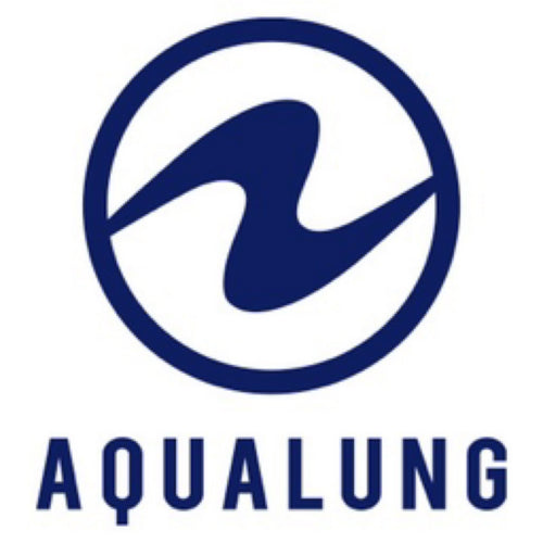 Aqualung Service Kit - 1st Stage Piston