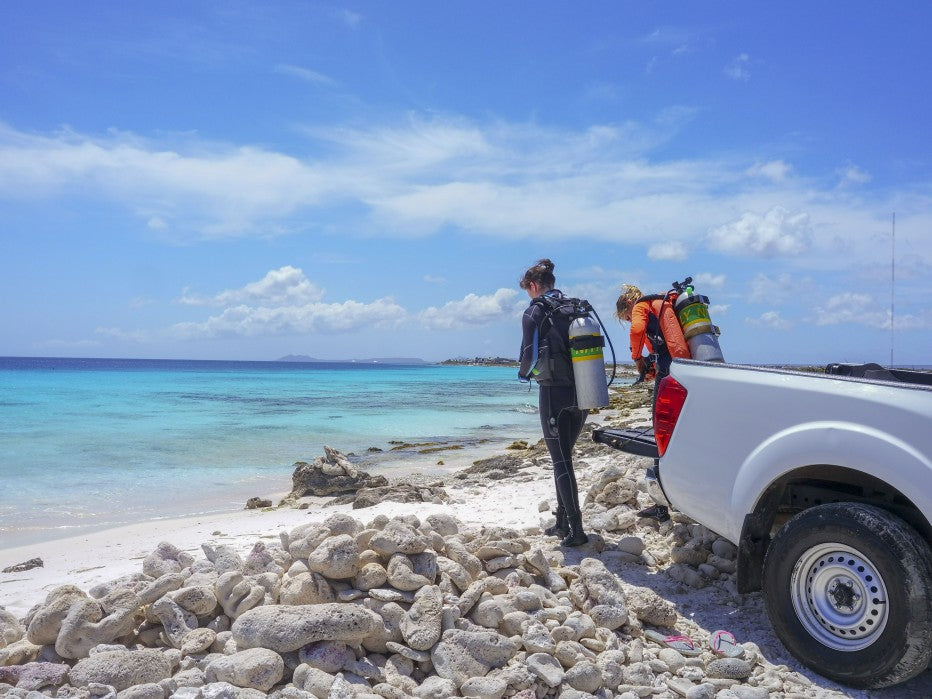 Bonaire 2025