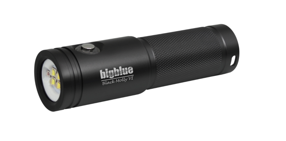 Big Blue Video Light: Black Molly: 2000-Lumen Video Light