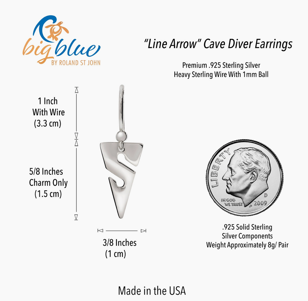 Line Arrow Earrings